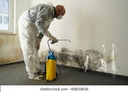 Best Black Mold Removal  in Mont Belvieu, TX